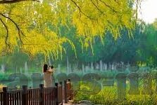 北美世界杯直播-北美世界杯直播，激情与梦想的实时盛宴